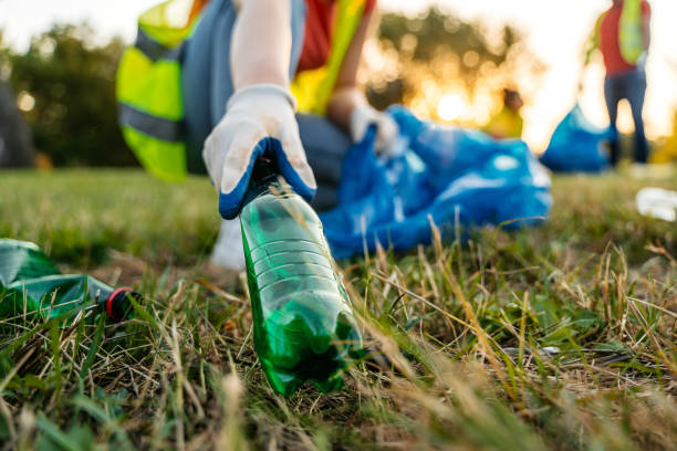 Best Yard Waste Removal  in Collins, MS